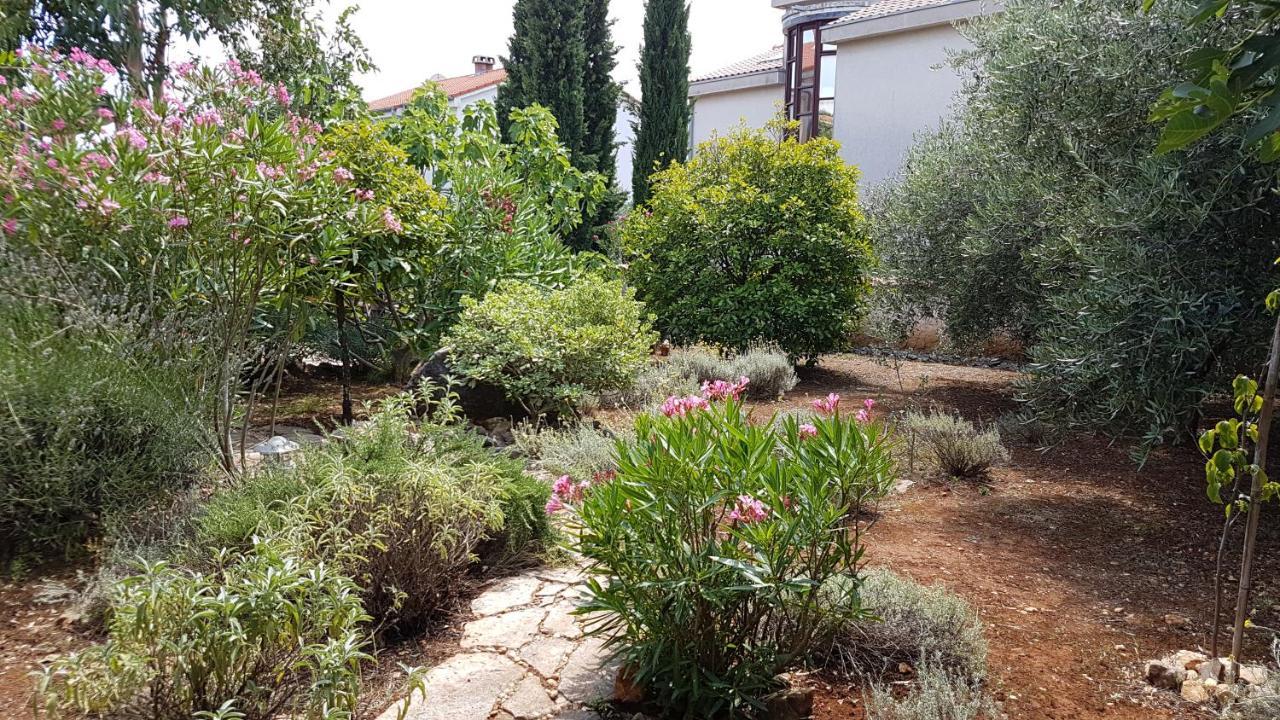 Apartments Villa Temer Pinezici  Exterior photo